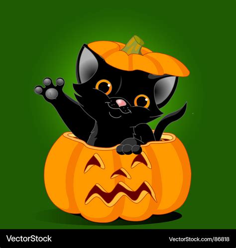 List 93+ Wallpaper Cute Pumpkin Cat Cartoon Wallpaper Excellent