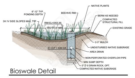 20140613 Bioswale detail – Blair Parker Design | landscape architecture