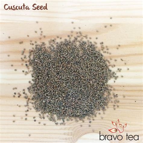 Cuscuta Seed 菟絲子 Tu si zi Dodder Seed The Cuscuta seed comes from a parasitic plant, or one that ...