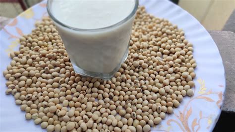 Soybean milk l easy recipe l how to make soyabean milk l soyabean dishes l veg recipes l soya ...