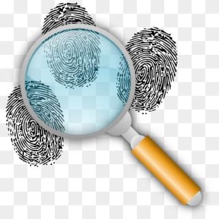 2400 X 2400 2 - Forensics Clipart, HD Png Download - 2400x2400 (#476162 ...