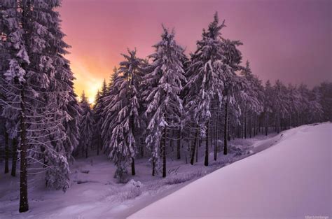 *🇩🇪 Winter dusk (Thuringian Forest, Germany) by Kilian Schönberger on ...