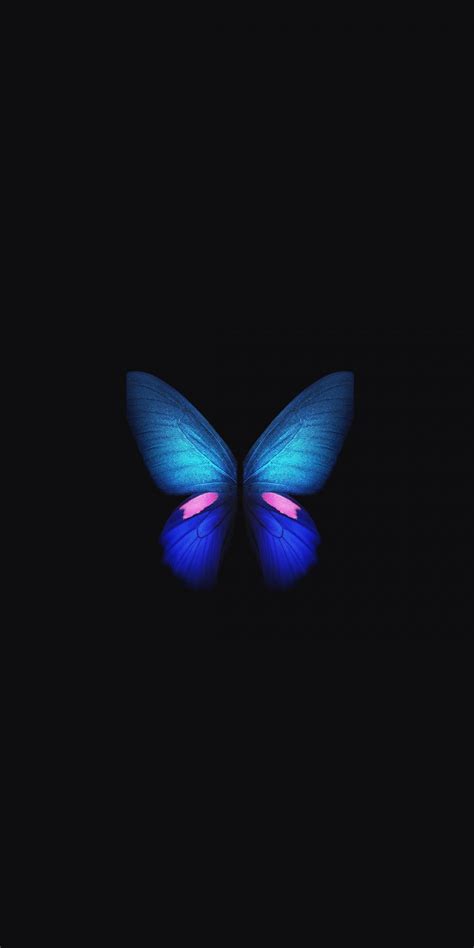 Butterfly Live Wallpaper - KoLPaPer - Awesome Free HD Wallpapers