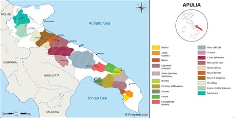 Italy Map of Vineyards Wine Regions