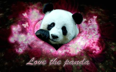 Quotes About Love And Pandas. QuotesGram