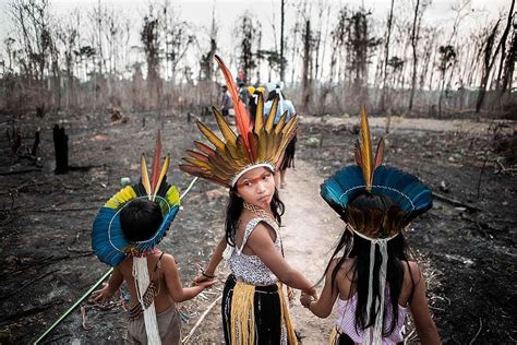 Greenpeace brings stories of the Indigenous People of the Amazon. This ...