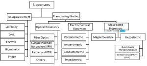 What are Biosensors? Principle, Working, Types and Applications - ElectronicsHub