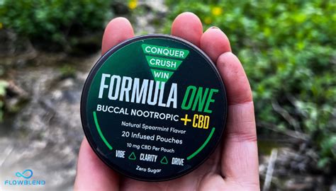 Innovative Smokeless Tobacco Alternatives: An In-Depth Look At Buccal Nootropic Products - FlowBlend