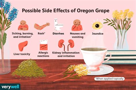 Oregon Grape: Benefits, Side Effects, Dosage, and More