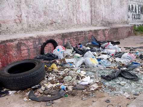 TODO SOBRE LA CONTAMINACIÓN DEL SUELO : contaminación del suelo