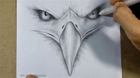 Eagle Head Pencil Drawing Easy