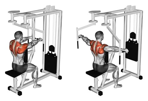 Posterior de deltoide, alguns aspectos práticos de treinamento - Treino ...