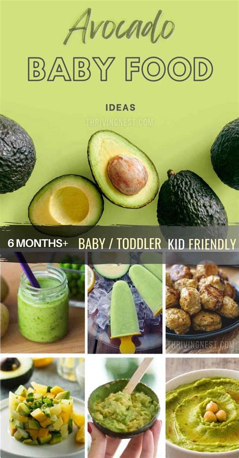 Avocado Baby Food Ideas + Combinations - ThrivingNest