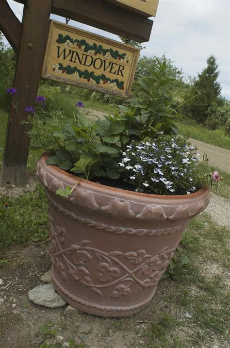 INSIDE THE BOX: Benefits, beauty & tricks of gardening with pots ...