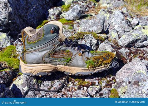 Old hiking boots stock photo. Image of tundra, mountains - 58505564