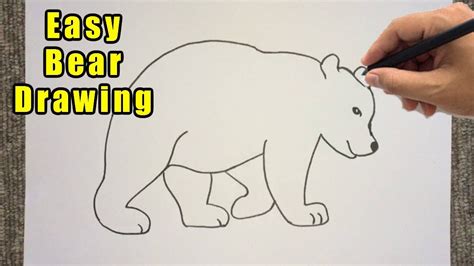 How To Draw A Bear