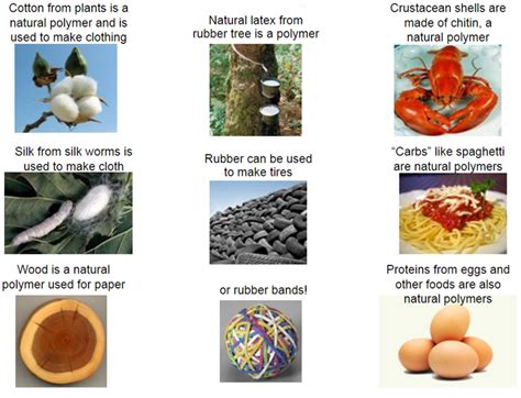 What Is A Polymer - History and how it is used today : Barnwell