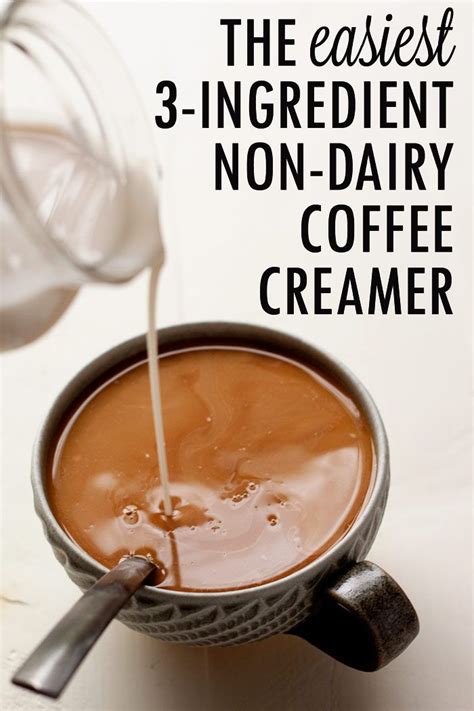 The Easiest 3-Ingredient Vegan Coffee Creamer Recipe - I love how easy this vanilla-coconut ...