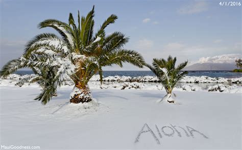 Freak Snow Storm Hits Hawaii! - Maui Goodness