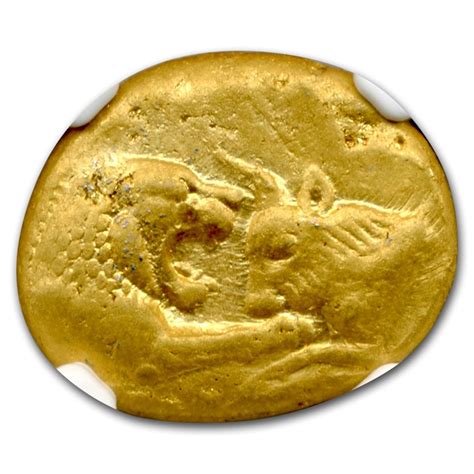 Buy Lydian Gold Stater Croesus (561-546 BC) AU NGC | APMEX