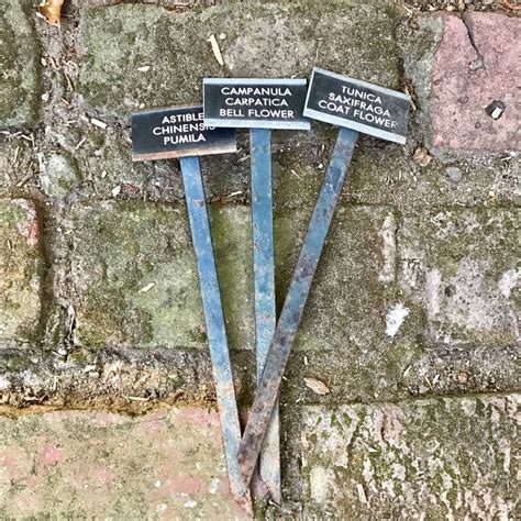 Set 3 Vintage Metal Plant Markers Garden Markers Plant - Etsy | Metal plant markers, Plant ...