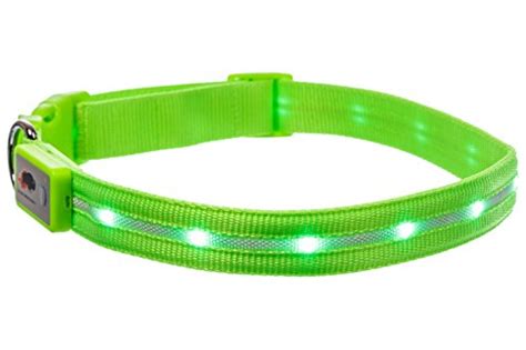 7 Best Light Up Dog Collar Brands 2020: For Night Walks and Winter Time