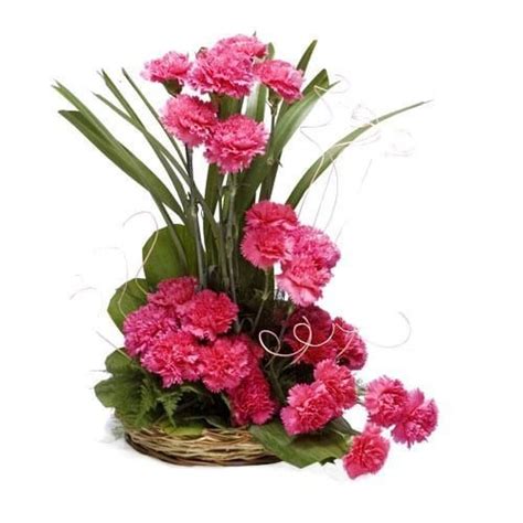 Pink Carnations Basket - Dial a Bouquet | Chennai Online Florists | Free Flower Home Delivery