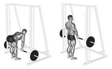 Exercise Database (Legs 16) - Smith Machine Stiff Leg Deadlifts — Jase ...