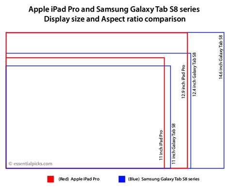 iPad Pro vs Samsung Galaxy Tab S8 comparison for Digital Artist