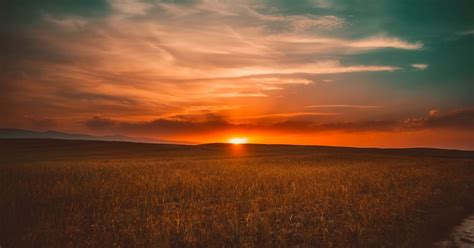 Grass during Sunset · Free Stock Photo