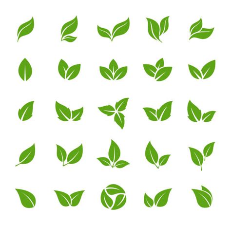 Leaf Shapes Clip Art