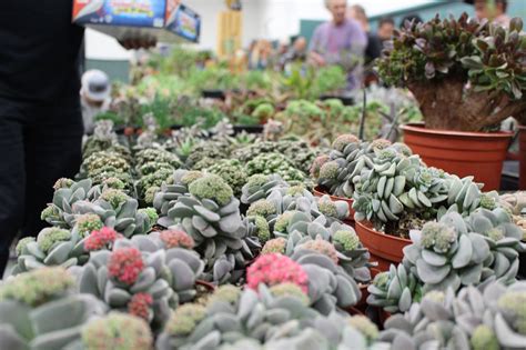 Toronto Cactus & Succulent Society Show & Sale