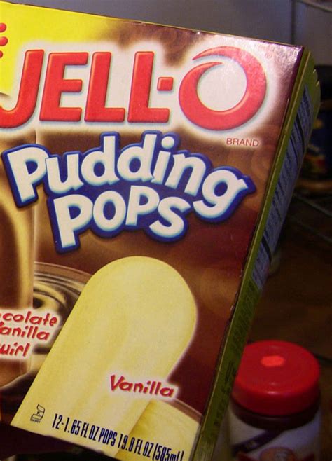 Throwback Friday: Jello Pudding Pops – sunnyglobaldiva.com