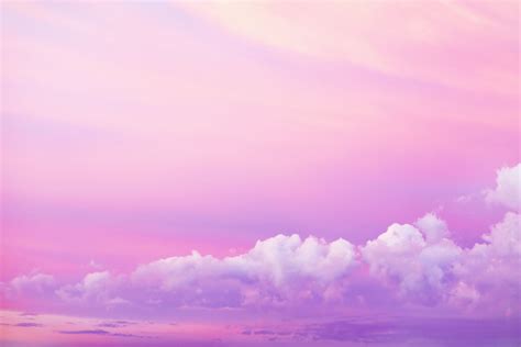 pink forest - Google Search | Pink sky, Purple sky, Sky