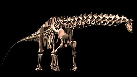 The New PLOS ONE Collection on “Sauropod Gigantism – A Cross-Disciplinary Approach” - EveryONE