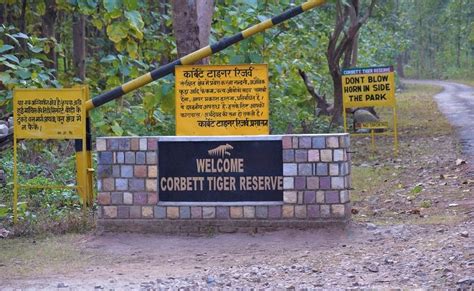 Trip of Jim Corbett National Park Ramnagar (Nainital) Uttrakhand. - Tripoto