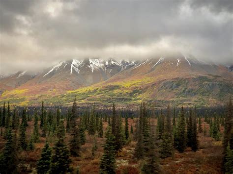 Alaska-Denali-train-ride | Jan Adventures