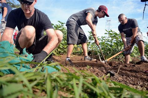 Soil Preparation for Vegetable Gardens – 4-H Learning Network