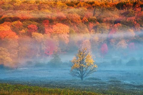 A State-by-State Guide to Fall Colors