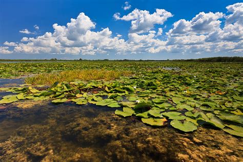 Danube Delta - Paloma Tours