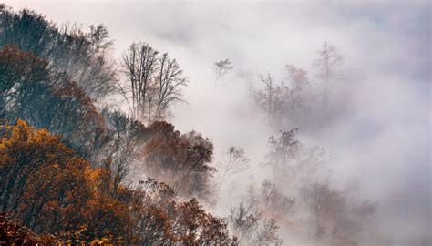 How to Photograph Foggy Landscapes: Focus on the Details | Learn Photography by Zoner Photo Studio