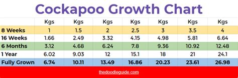 How Much Do Cockapoos Weigh? [Everything You Need To Know] - The Doodle ...