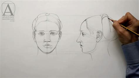 Human Head Proportions - Anatomy Master Class - YouTube