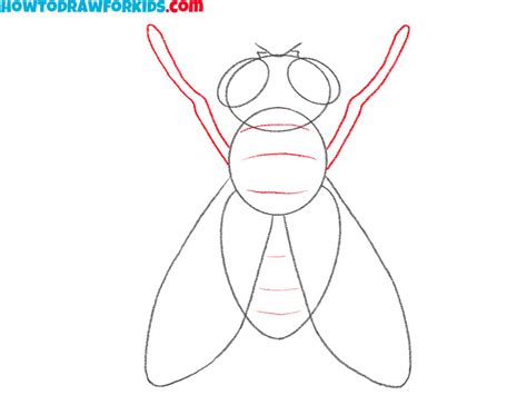 How to Draw a Fly - Easy Drawing Tutorial For Kids