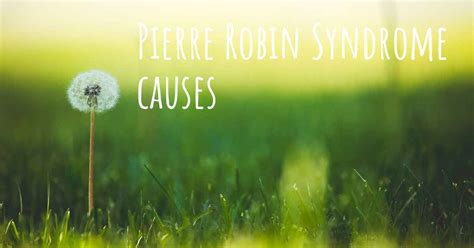 Which are the causes of Pierre Robin Syndrome?