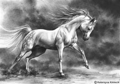 running horse original drawing white horse pencil drawing