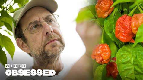 How This Guy Made the World's Hottest Peppers | Obsessed | WIRED - YouTube