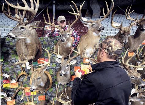 ARKANSAS SPORTSMAN: Antlers on display at Big Buck | The Arkansas ...