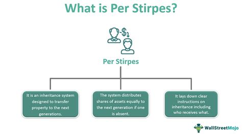 Per Stirpes - Meaning, Explained, Examples, Vs Per Capita