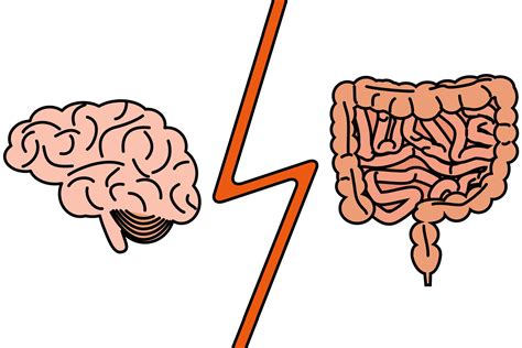 New evidence of gut-brain connection in Parkinson's disease